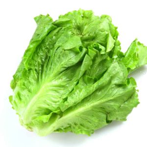 Leafy Lettuce