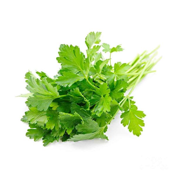 Herb Parsley